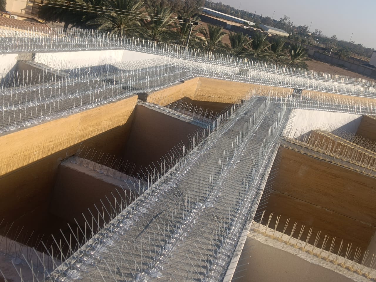 خدمات تركيب طارد الحمام شبك و أشواك طارد الحمام حلول مكافحة الحمام تركيب شبك ضد الحمام