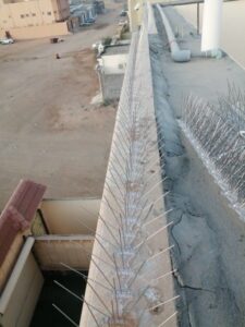 تركيب شوك الطيور في مكة تركيب شوك الطيور في المدينة تركيب شوك الطيور في جدة تركيب شوك الطيور في تبوك شركة طارد الحمام في مكة شركة طارد الحمام في المدينة شركة طارد الحمام في جدة شركة طارد الحمام في تبوك