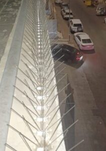 أفضل شركة تركيب شوك الطيور أسعار تركيب شبك الحمام شركة تركيب غطاء المكيف بجودة عالية شبك حماية النوافذ من الطيور خدمة تركيب شبك الألواح الشمسية في السعودية